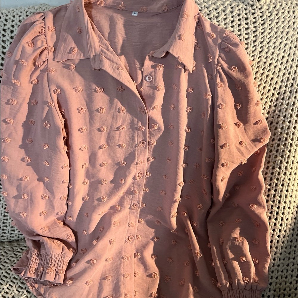 Botique Elegant Mauve Button-Up Blouse